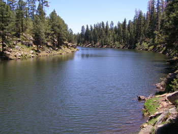 habitat near Woods Canyon