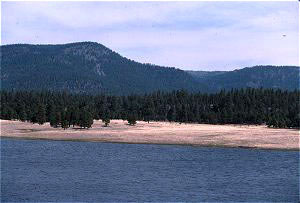 Luna Lake Breeding Area