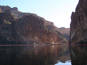 Habiat near Fish Creek nest site